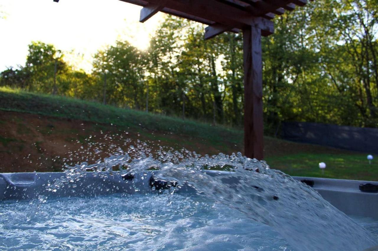 Sinalospa - Culiacan - Appartement Jardin Jacuzzi Sauna A 5 Minutes De Nancy Place Stanislas Champigneulles Екстер'єр фото